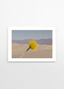 Plagát Desert Mirage by Nicole Mason