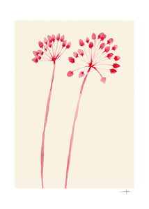 Plagát Flowers 02 by Ana Frois