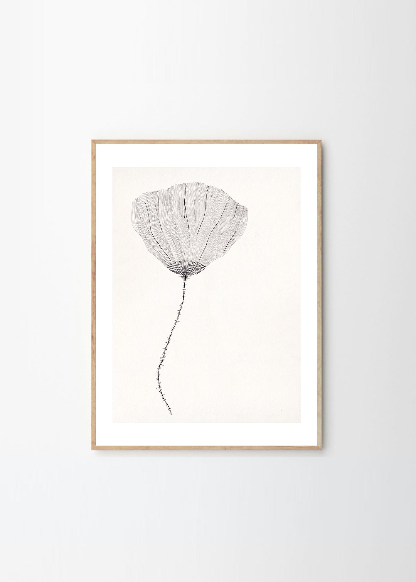 Plagát Poppy by Ana Frois
