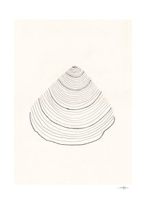 Plagát Shell by Ana Frois