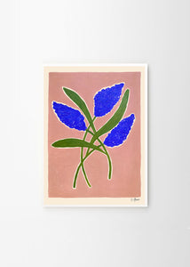 Plagát Butterfly Bush by Carla Llanos
