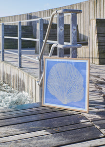 Plagát Sea Lavender by Rebecca Hein